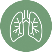 лечение заболеваний бронхолёгочной системы